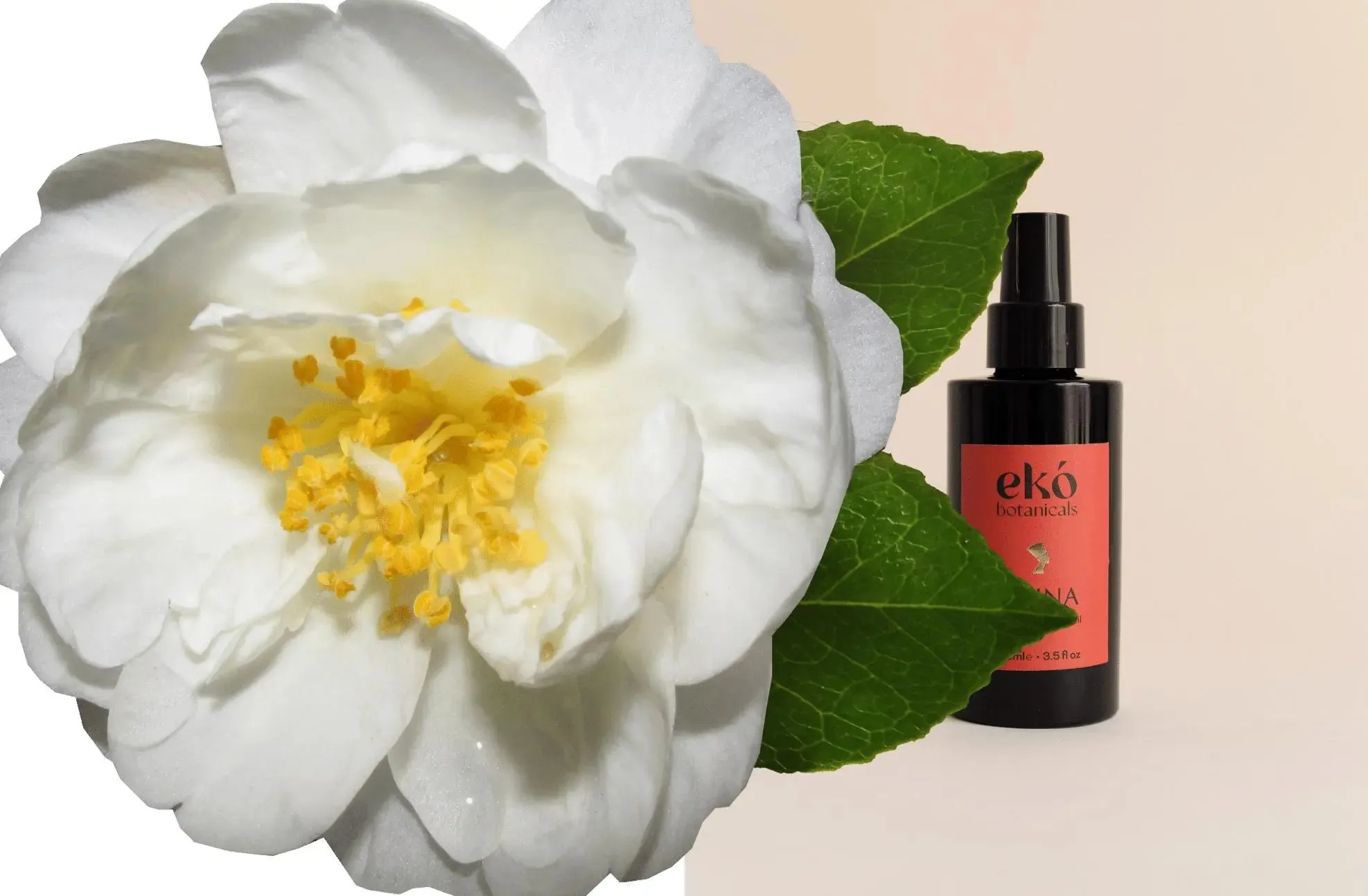 Amina Ritual Cleansing Oil