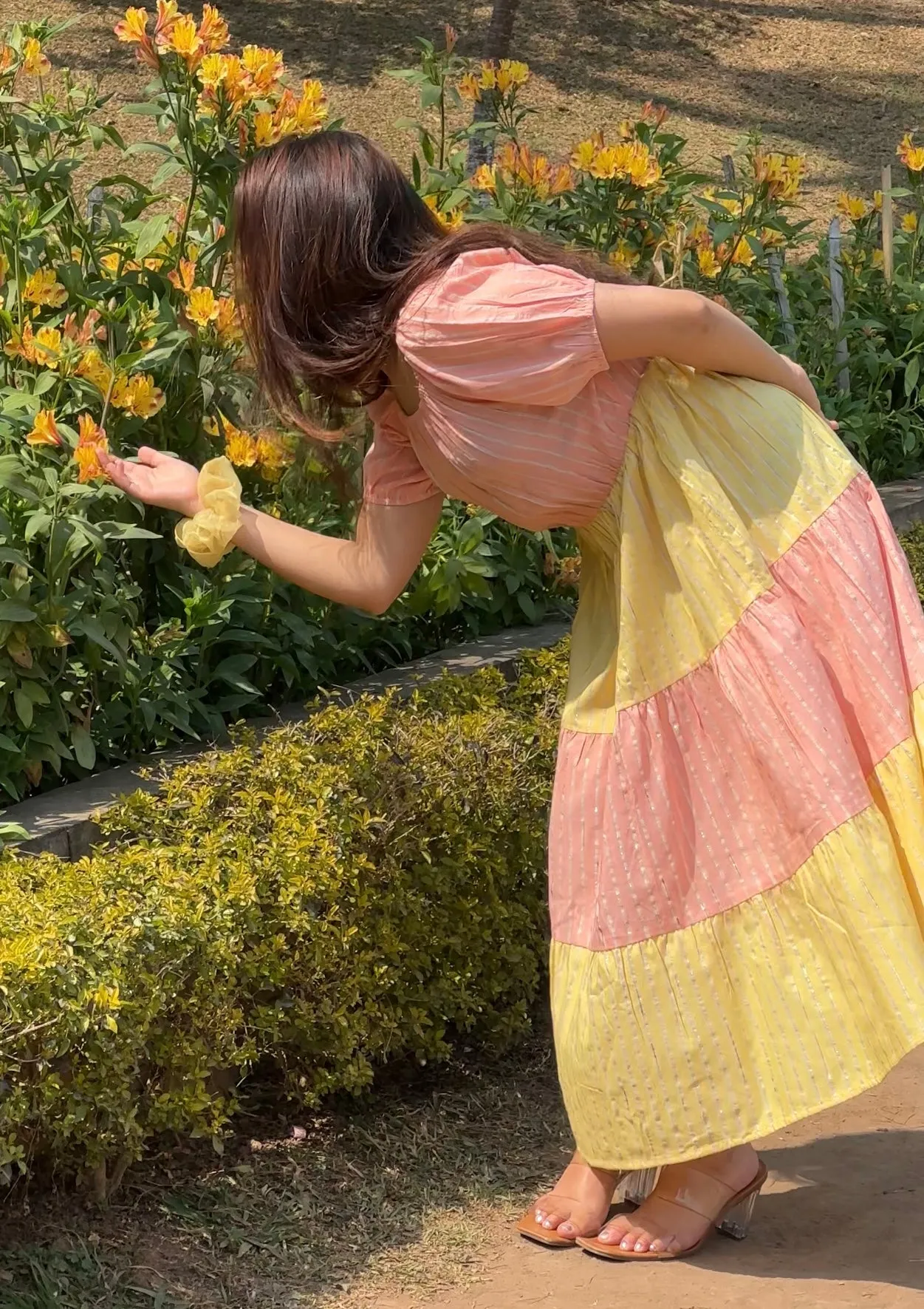 Daisy