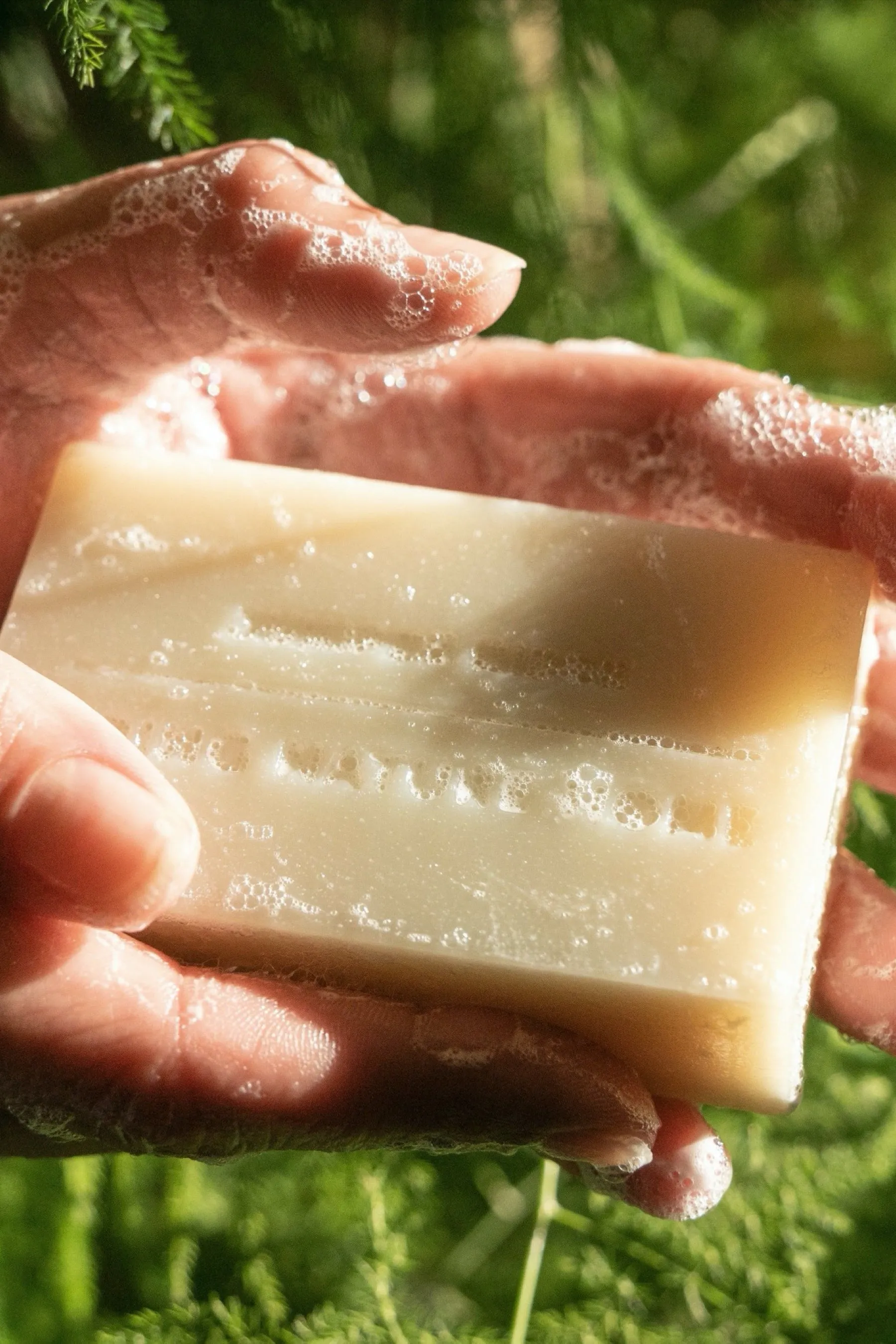 Desert Cedar Bar Soap