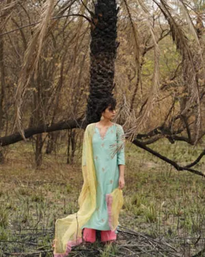 Heeriye Back Yoke Kurta Set