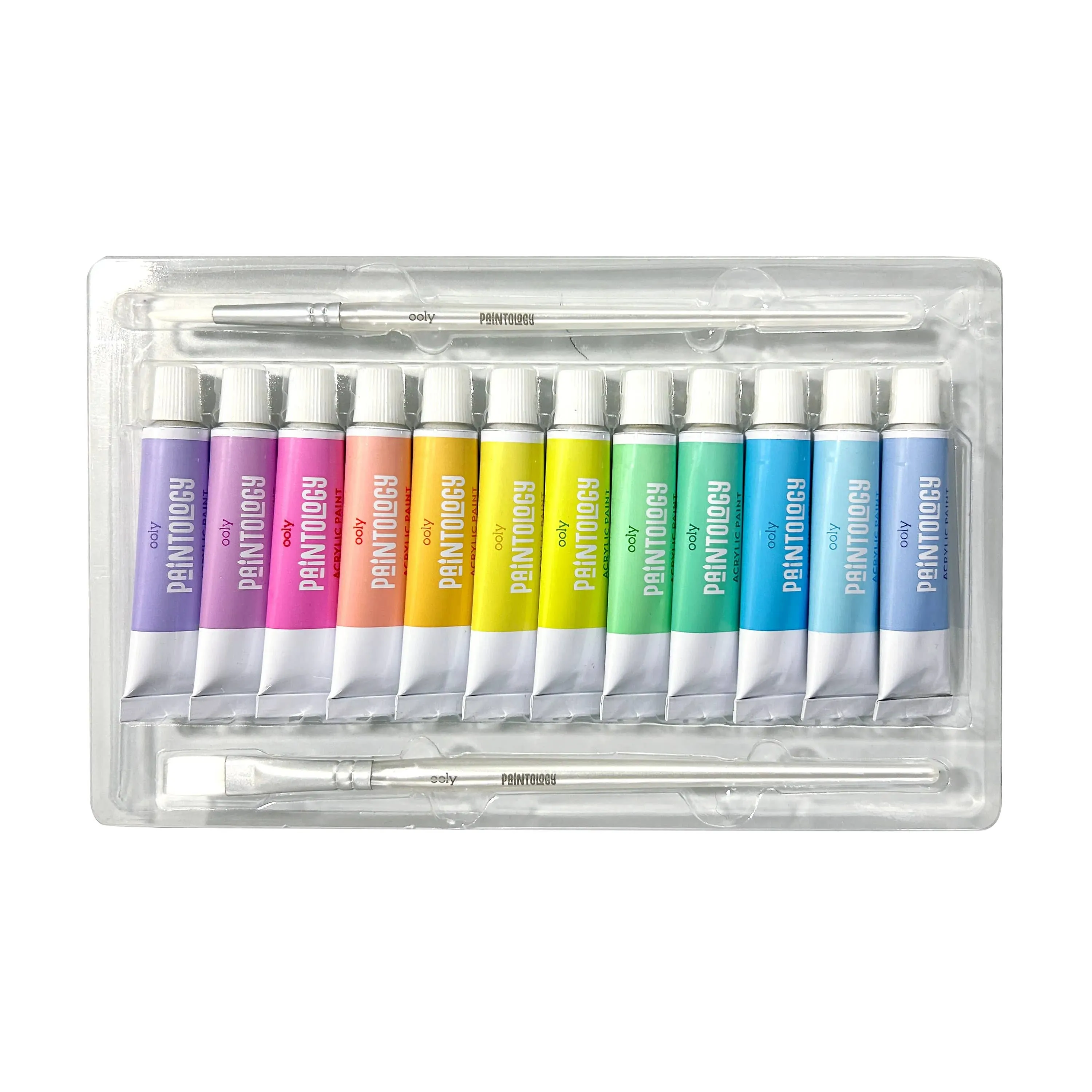 Paintology Acrylic Paints   2 Brushes