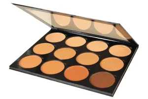 Pro 12 Flawless Foundation Palette