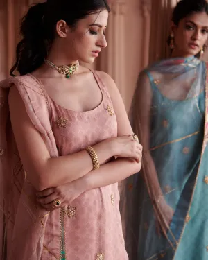 Zahra Pastel Pink Printed Organza Panel Kurta Set